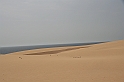 Kanary_2010 092